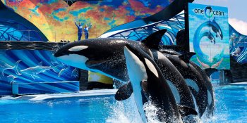 SeaWorld San Diego